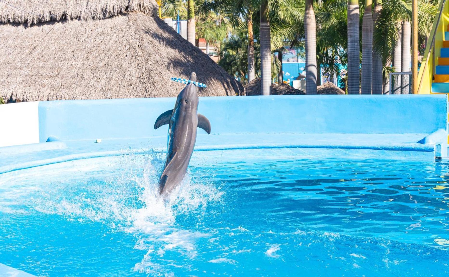 Splash Inn Nuevo Vallarta & Parque Acuatico Экстерьер фото